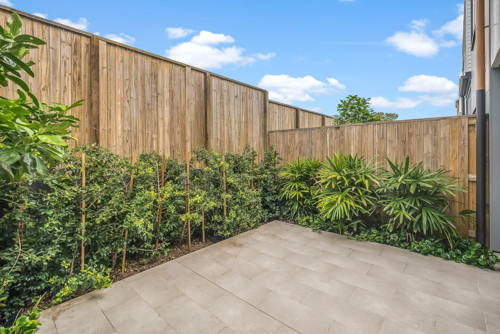 Additional image 7 of 52/12 Chalk Street, Wooloowin QLD 4030