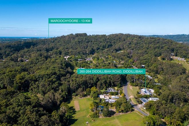 Picture of 260-264 Diddillibah Road, DIDDILLIBAH QLD 4559