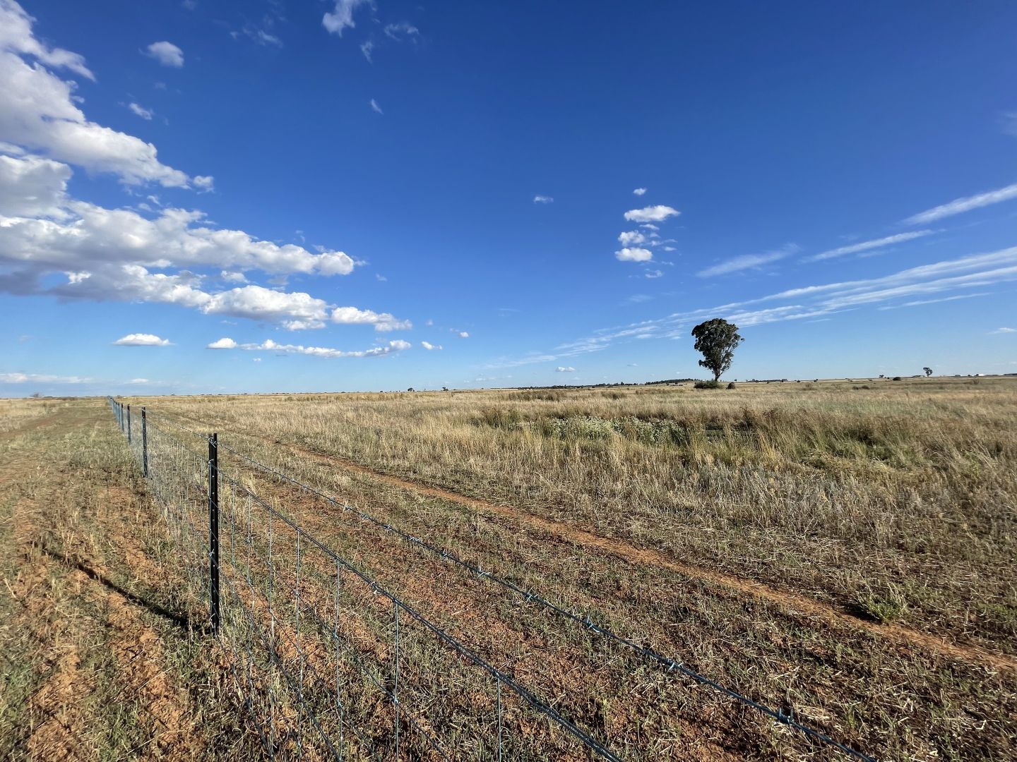 Lot 81 Dawes Road, Forbes NSW 2871 Domain