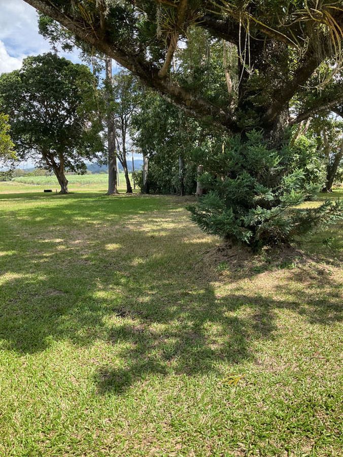 76 Frank MIles Rd, Sarina QLD 4737 House For Rent Domain