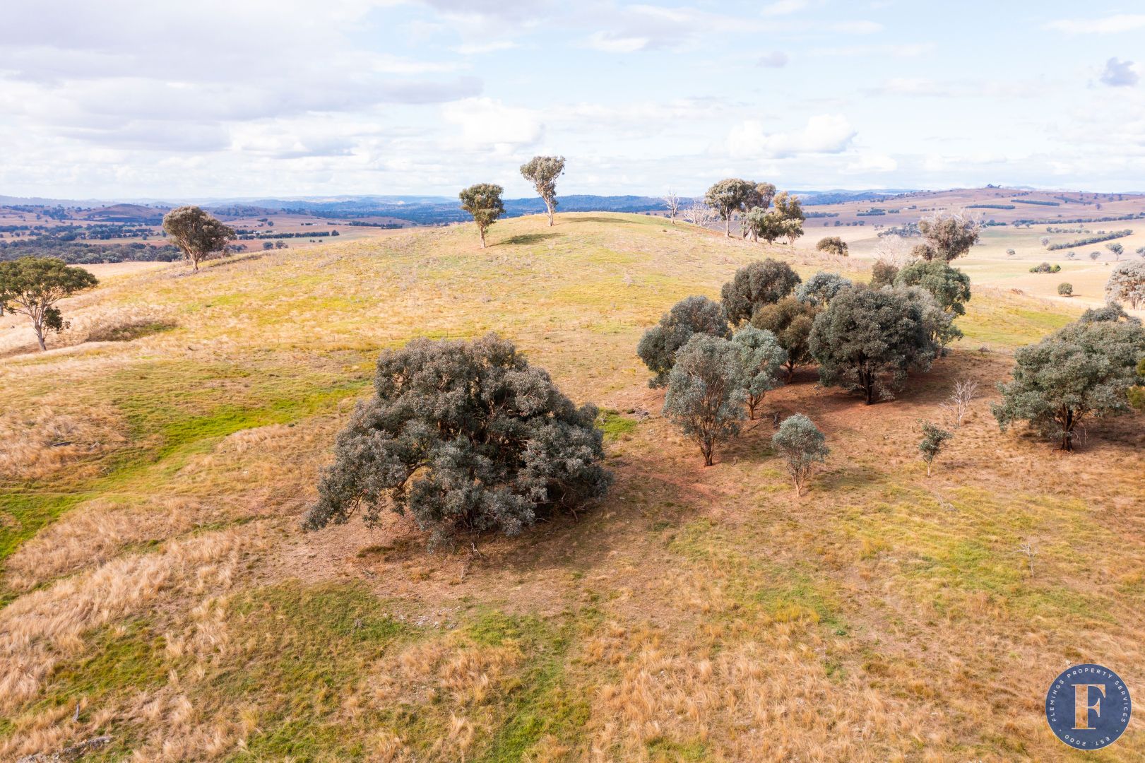 3502 Lachlan Valley Way, Godfreys Creek NSW 2586, Image 1