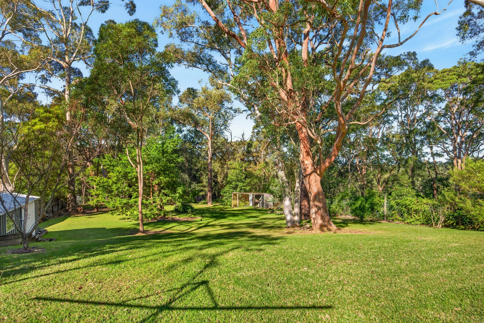 Image 12