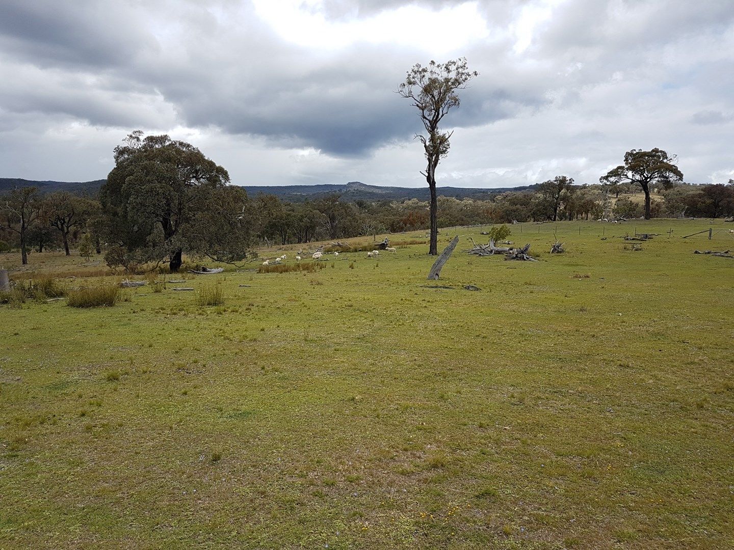 Lot 1 Springdale Road, Glenlyon QLD 4380, Image 0