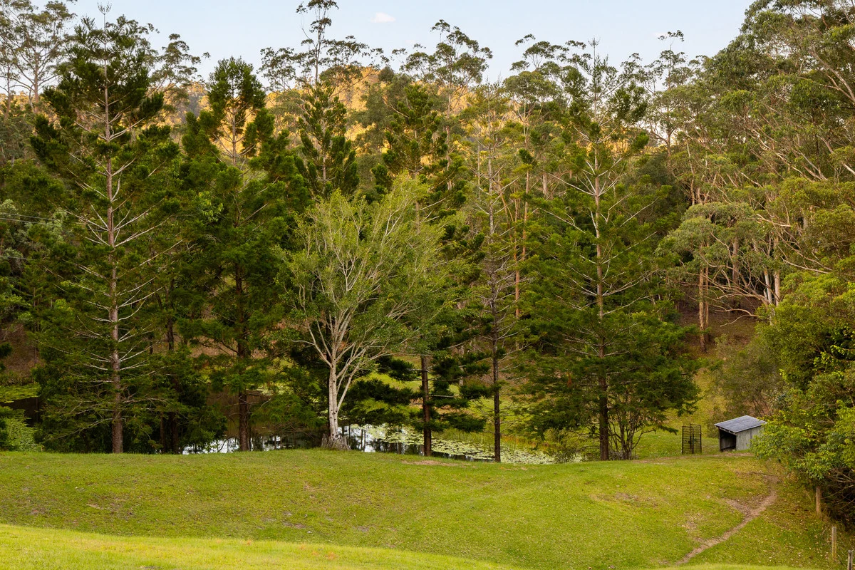 Additional image 25 of 79 Isambert Road, Glenview QLD 4553