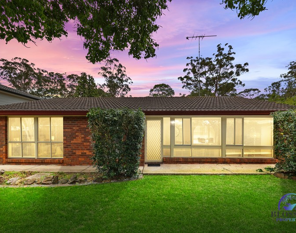 68 Sedgman Crescent, Shalvey NSW 2770