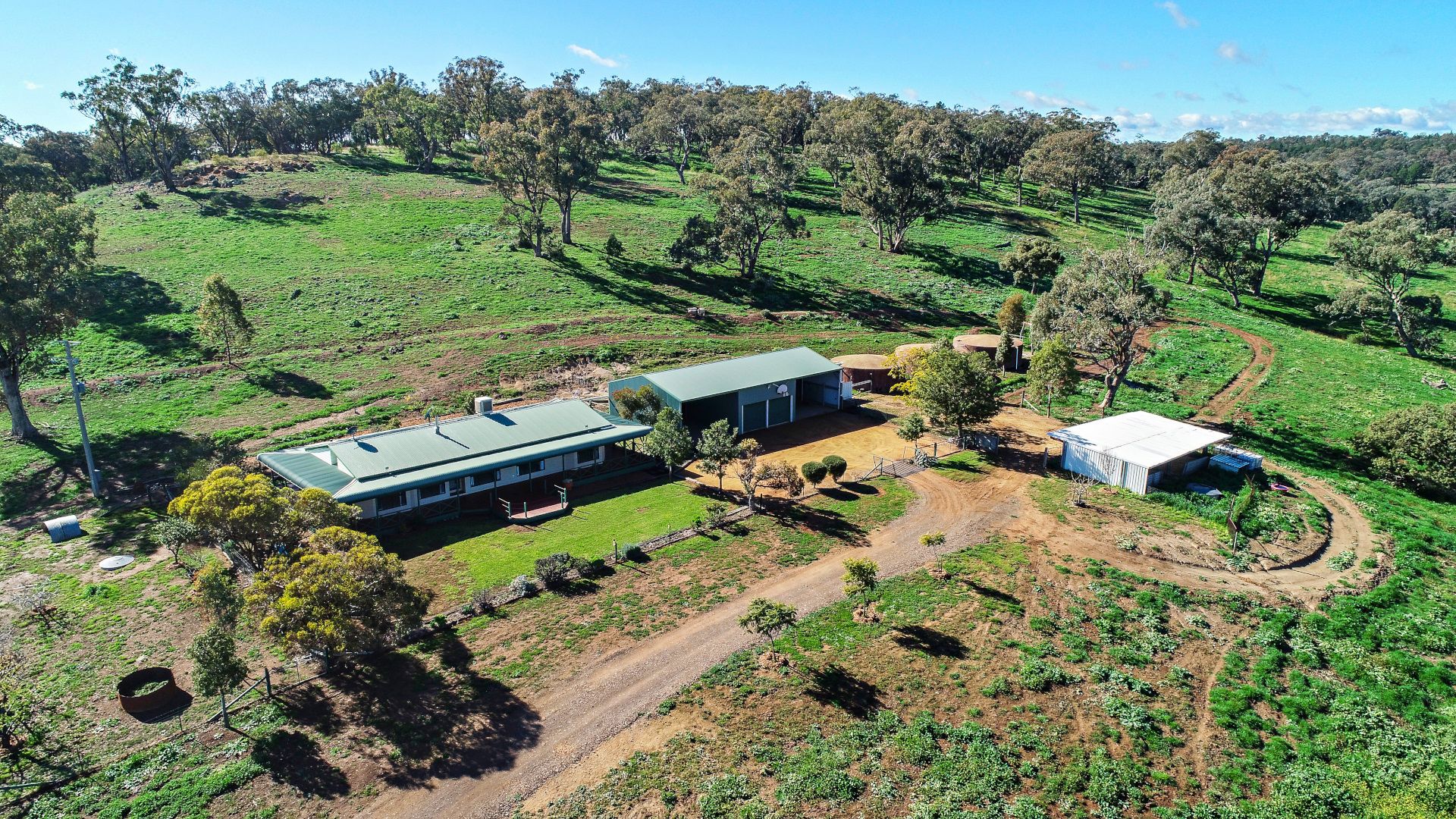 1290 Ballimore Road, Geurie NSW 2818, Image 2