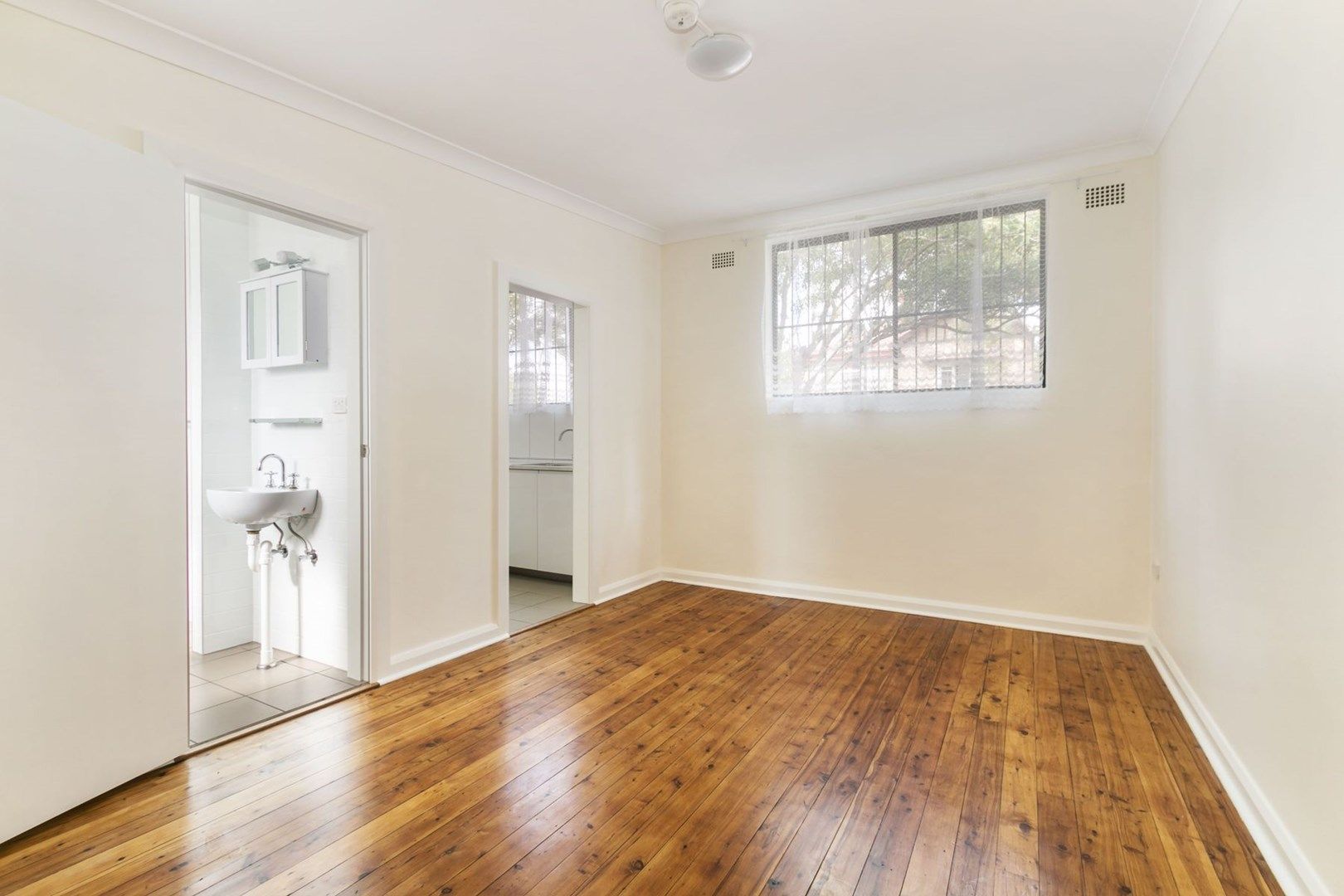 1 bedrooms Studio in 2/50 Bray Street NEWTOWN NSW, 2042