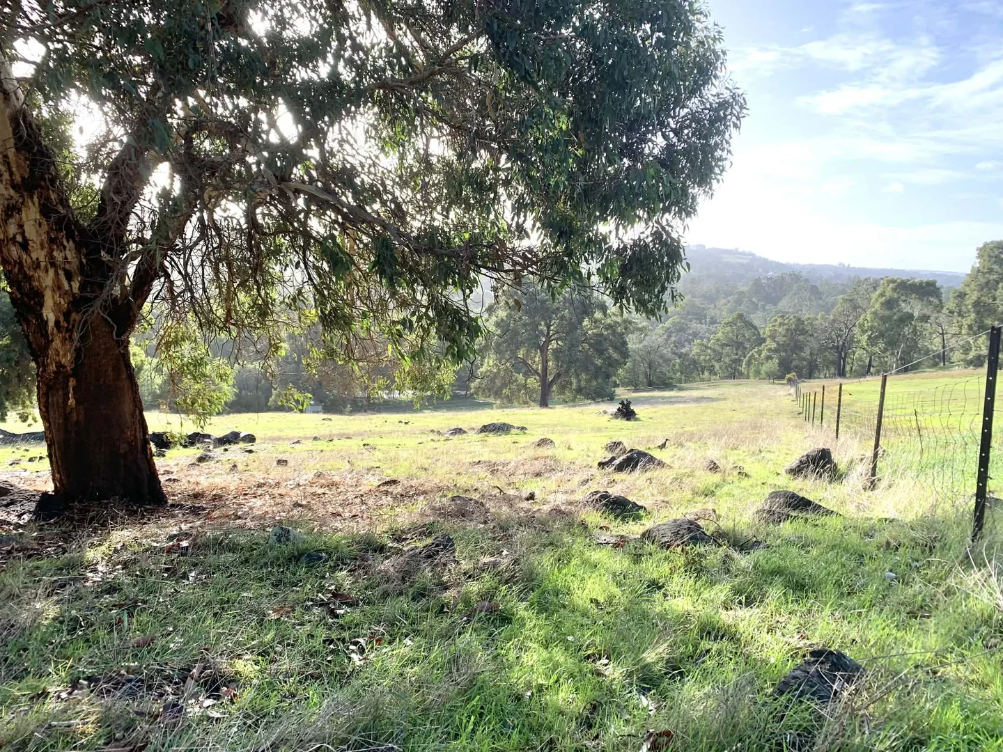 Image 9