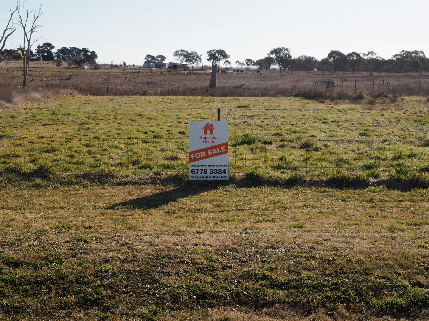 Lot # 253/50 Noalimba Ave, Kentucky NSW 2354, Image 1