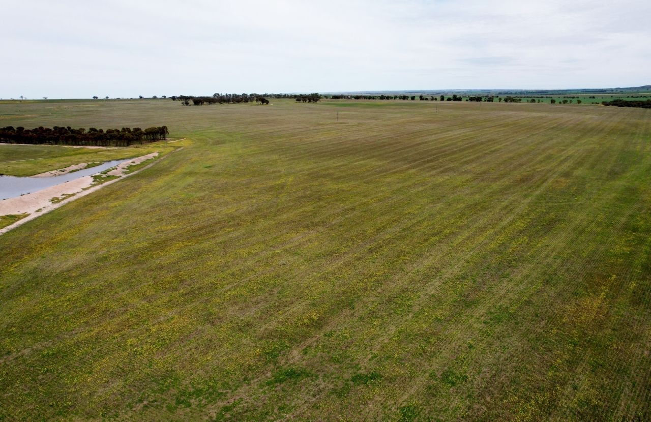 Lot 11505 Bungulla Road, North Tammin WA 6409, Image 0