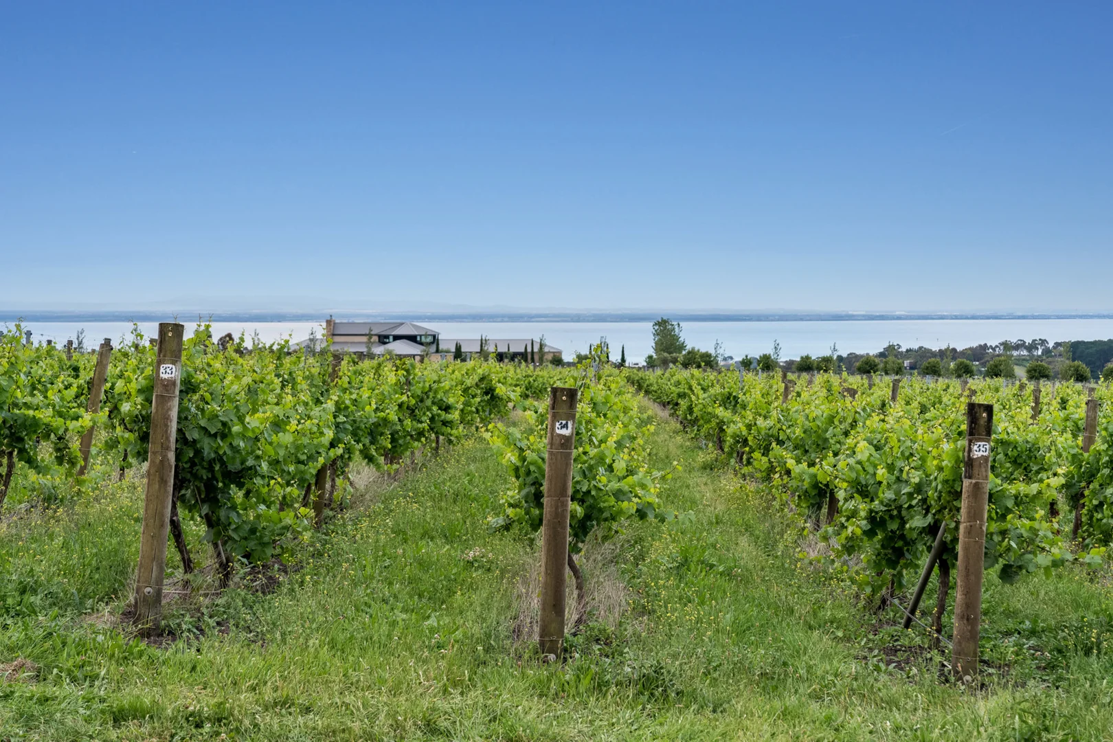 Additional image 27 of 19 Pierview Drive, Curlewis VIC 3222