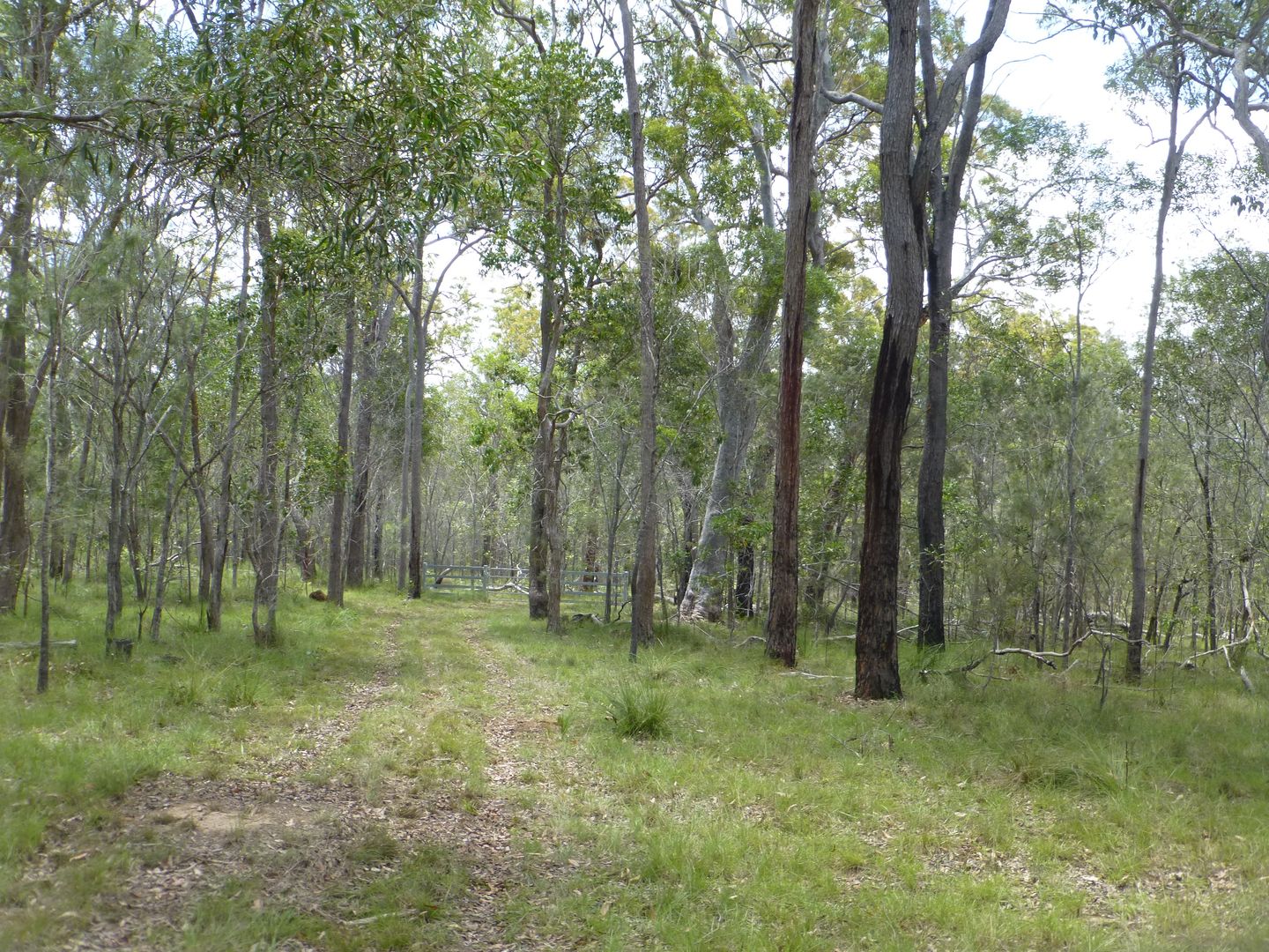 Cherwell QLD 4660, Image 2