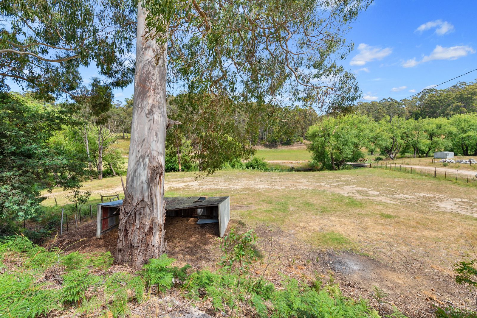 49 Richardson Road, Tugrah TAS 7310, Image 1