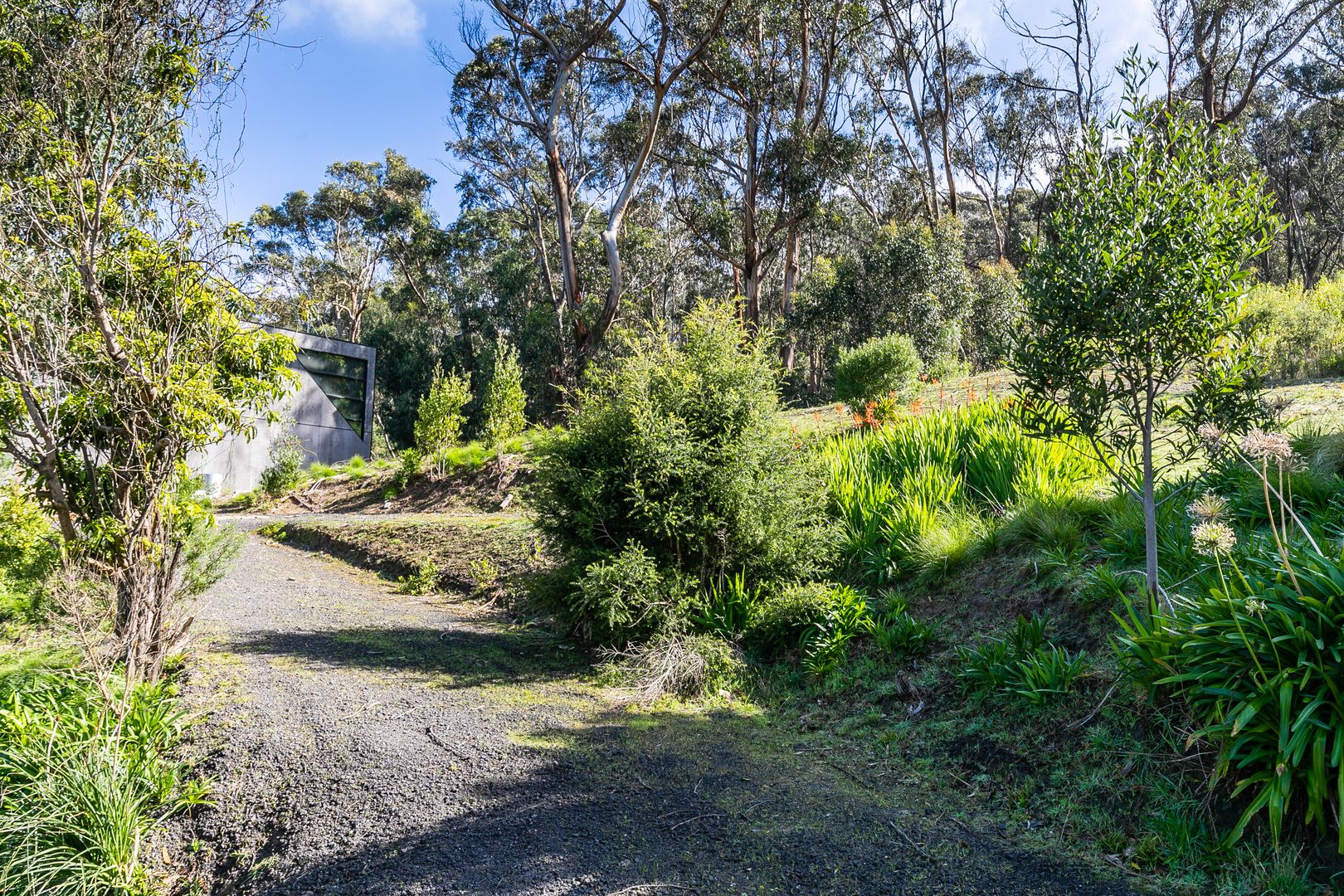 7 Mitchell Grove, Separation Creek VIC 3234, Image 2