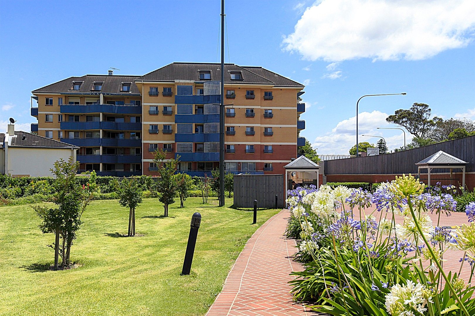 52/98 Chandos Street, Ashfield NSW 2131 Apartment For Rent Domain