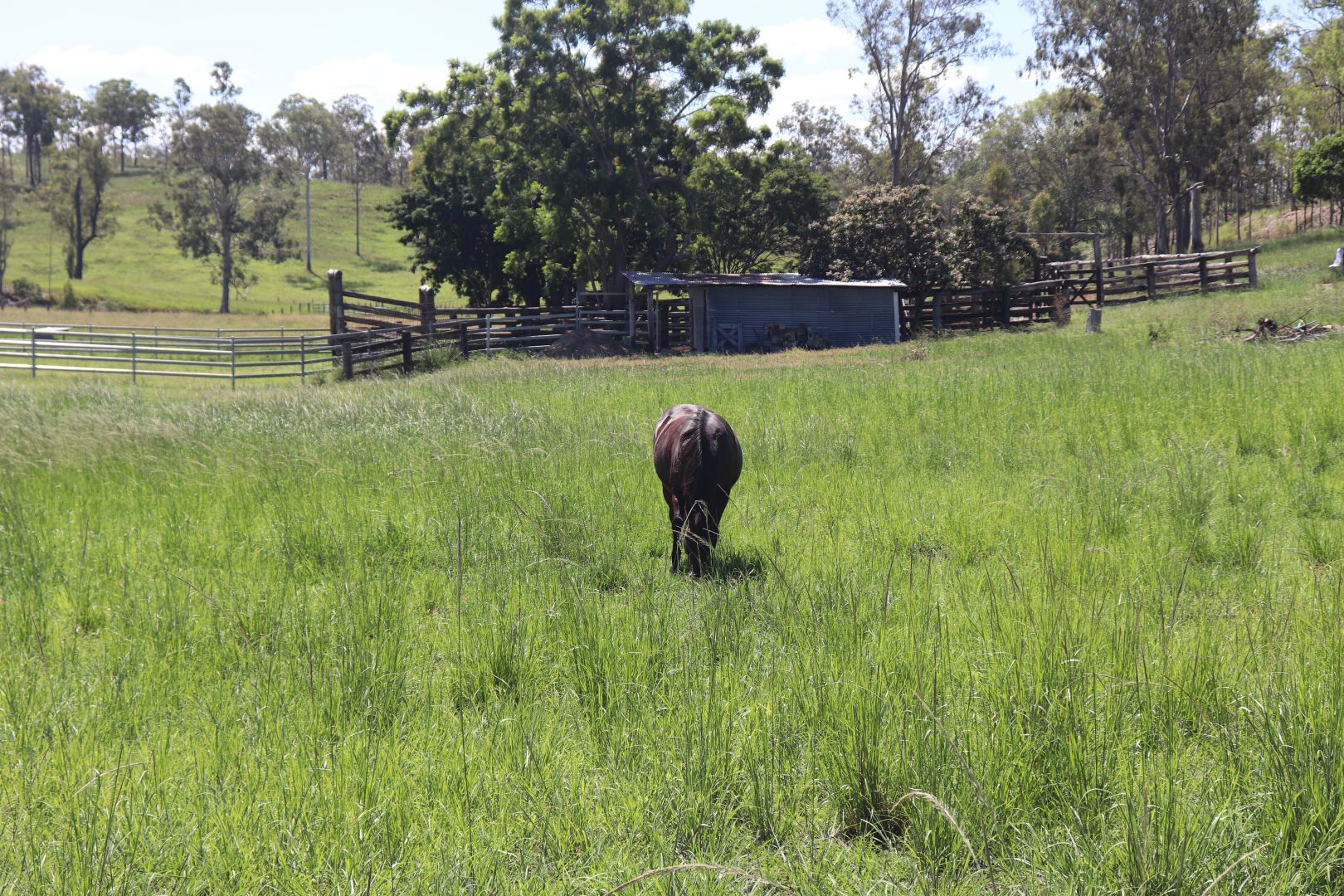 150 Tablelands Road, Gin Gin QLD 4671, Image 2