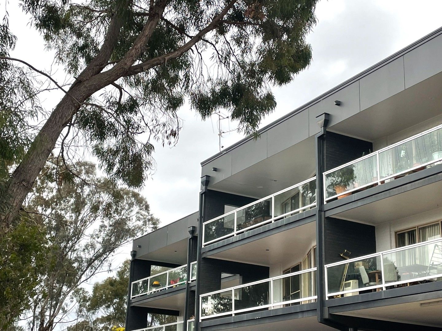 3 bedrooms Apartment / Unit / Flat in 3/50 Leahy Close NARRABUNDAH ACT, 2604