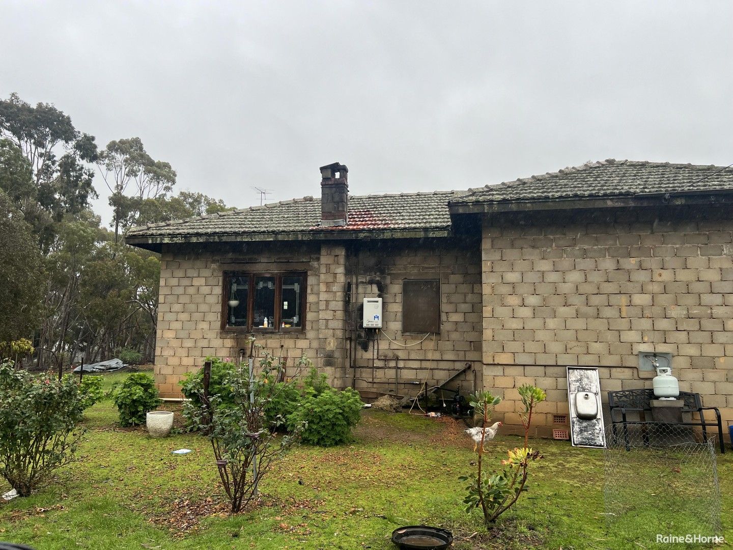 3 bedrooms Rural in 164 Earnshaw Road BOKAL WA, 6392