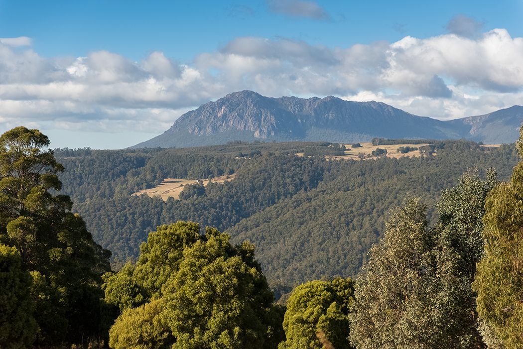 645 Cradle Mountain Road, Erriba TAS 7310, Image 2