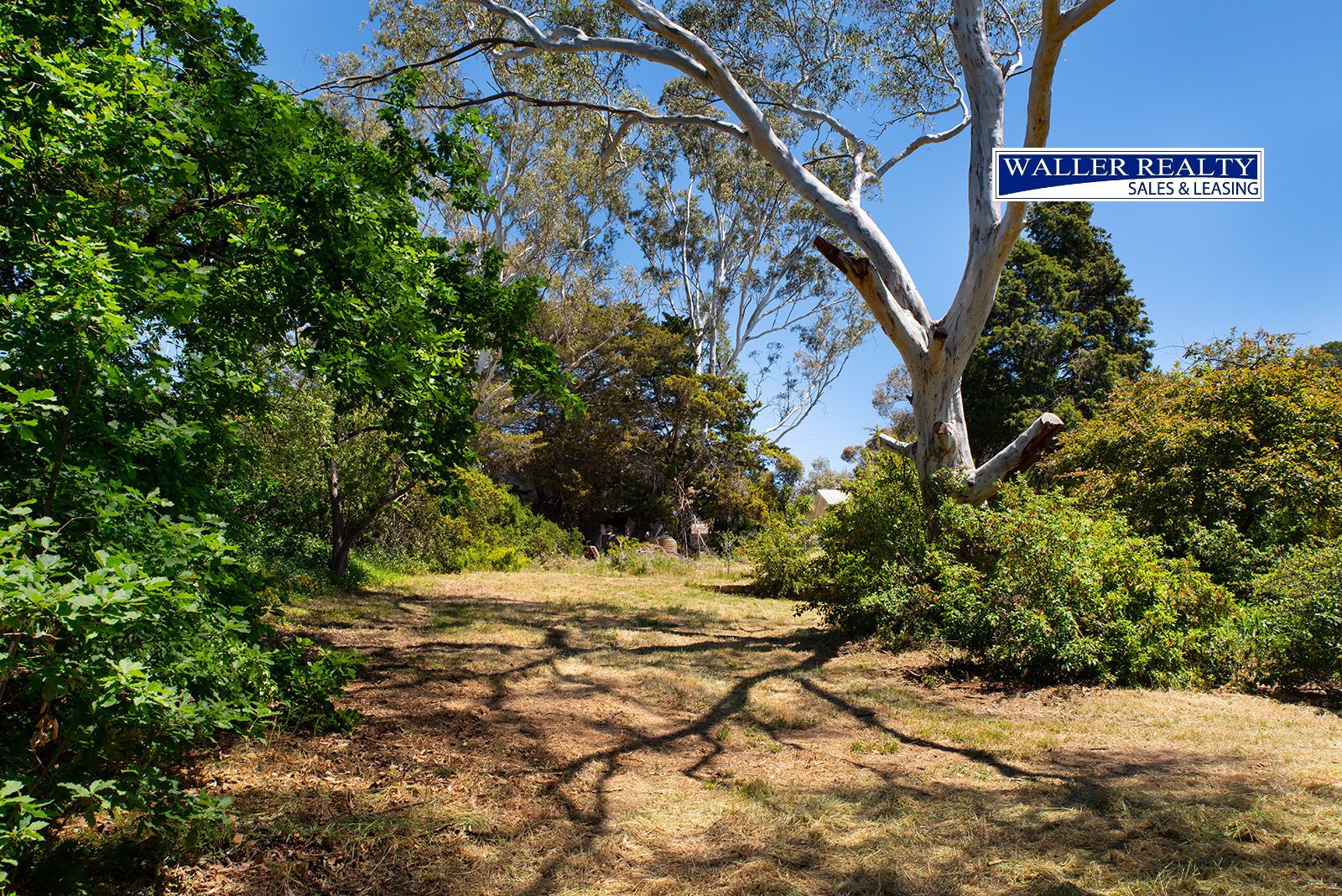 13 Bowden Street, Castlemaine VIC 3450, Image 0