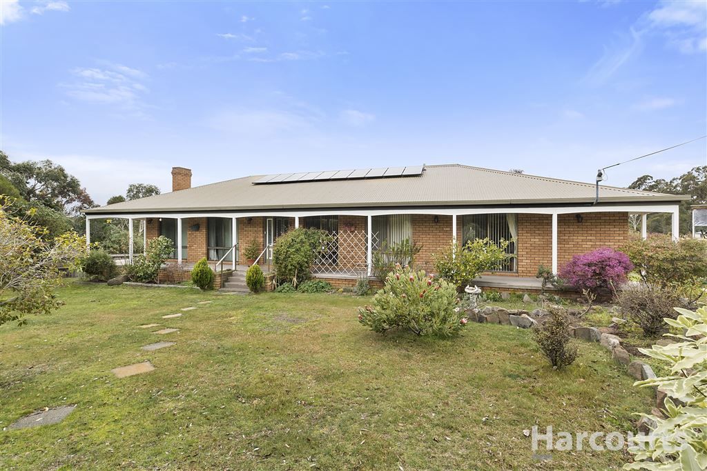 35 Walpole Street, Orford TAS 7190, Image 1