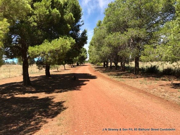 LOT 250 'Clae Manor', Condobolin NSW 2877, Image 1