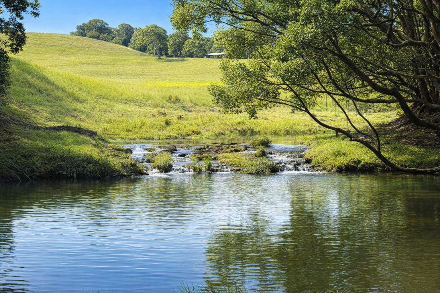 Additional image 5 of 585 Bangalow Road, Talofa NSW 2481