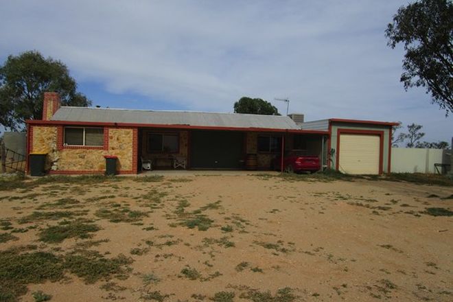 Picture of 429 Morgan Road, COBDOGLA SA 5346