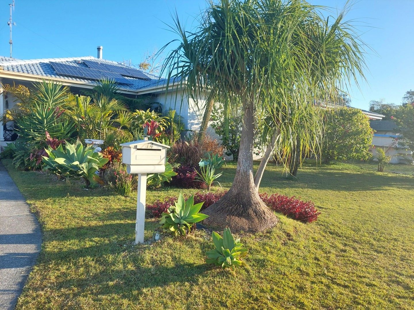 3 bedrooms House in 14 Tree view Place FORSTER NSW, 2428