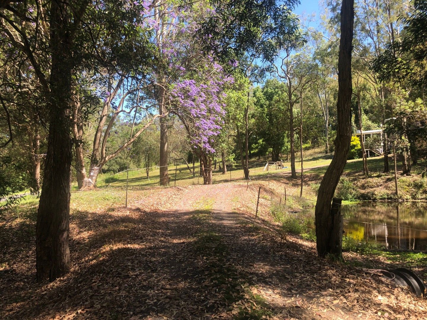 934 KENILWORTH SKYRING CREEK ROAD, Carters Ridge QLD 4563 House for Sale