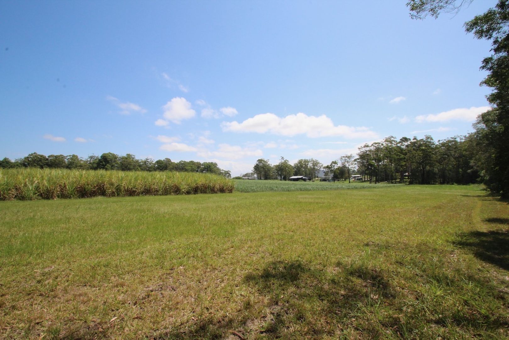 Woombah NSW 2469 Vacant Land for Sale 550,000 Domain