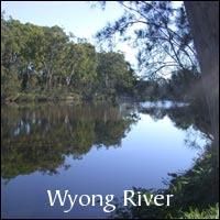 Wyong NSW 2259, Image 1