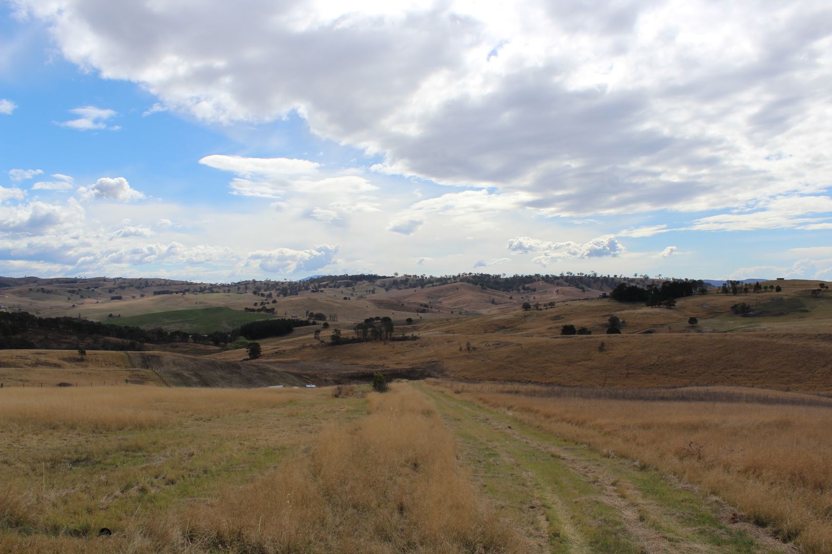 Lot 3. Candelo Bega Road, Bega NSW 2550, Image 1