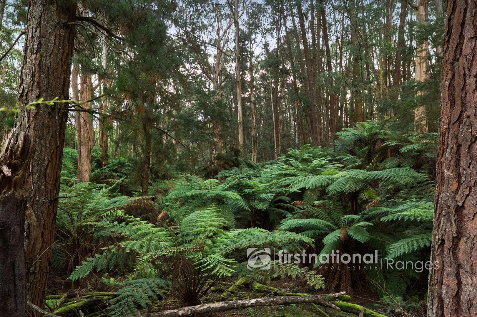 Additional image 27 of 171a Stewart Road, Emerald VIC 3782