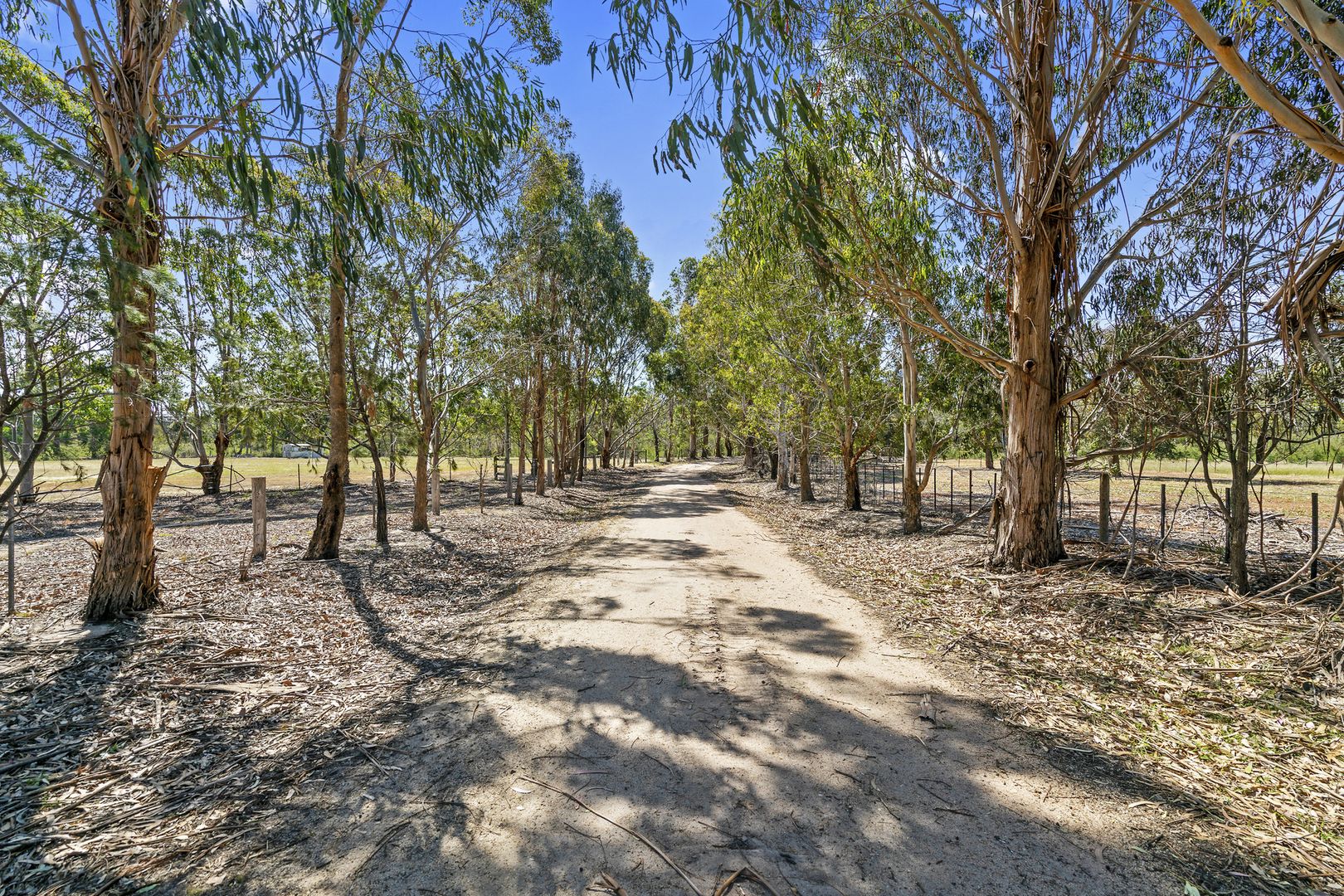 90 Bradleys Road, Stradbroke VIC 3851, Image 2