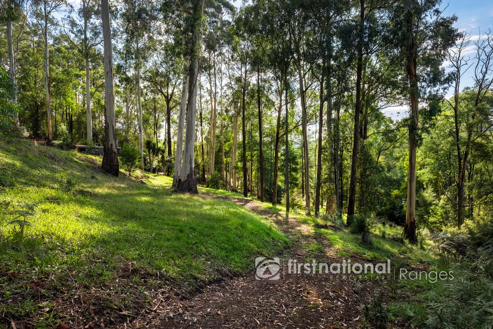 Additional image 17 of 140 Beenak Road, Gembrook VIC 3783