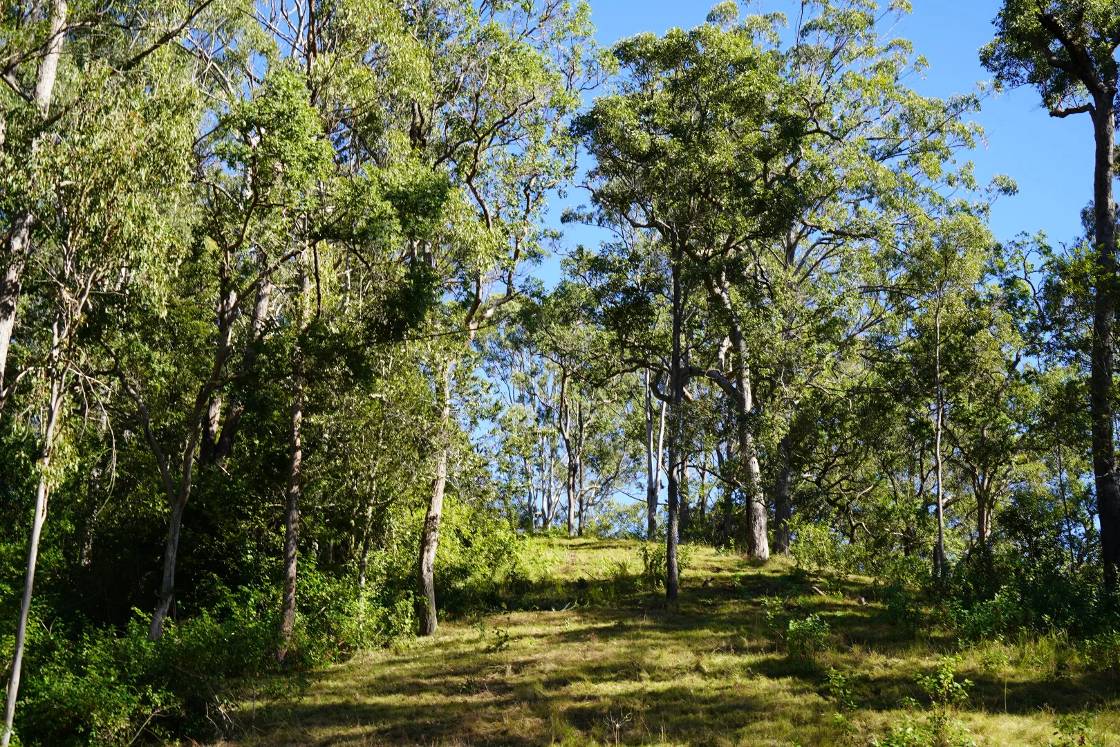 Image 13