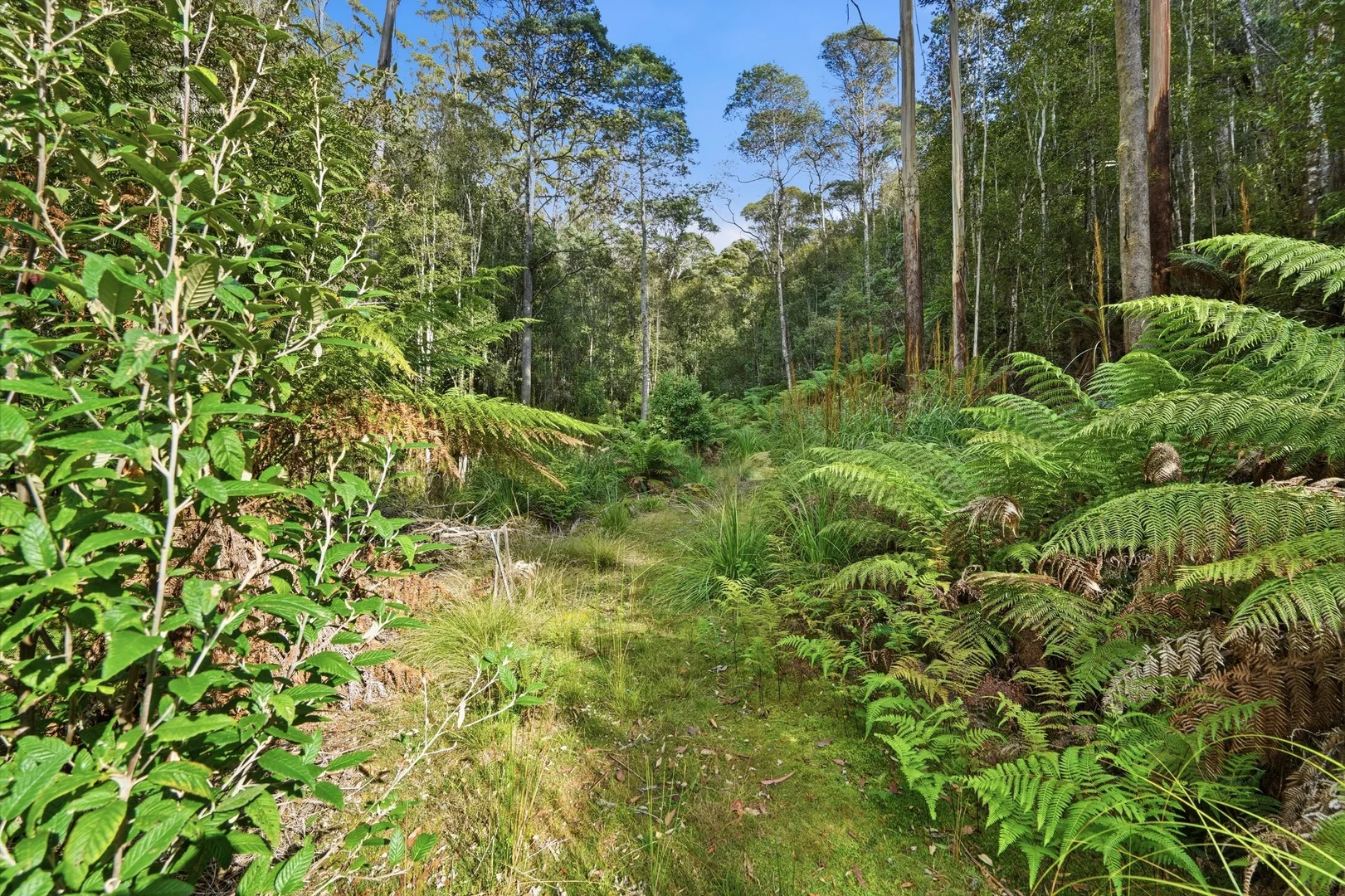 Additional image 13 of 111 Underwoods Road, Nicholls Rivulet TAS 7112