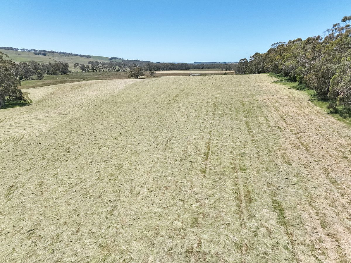 52D & 14C Timboon Cobden Road, Scotts Creek VIC 3267 House for Sale