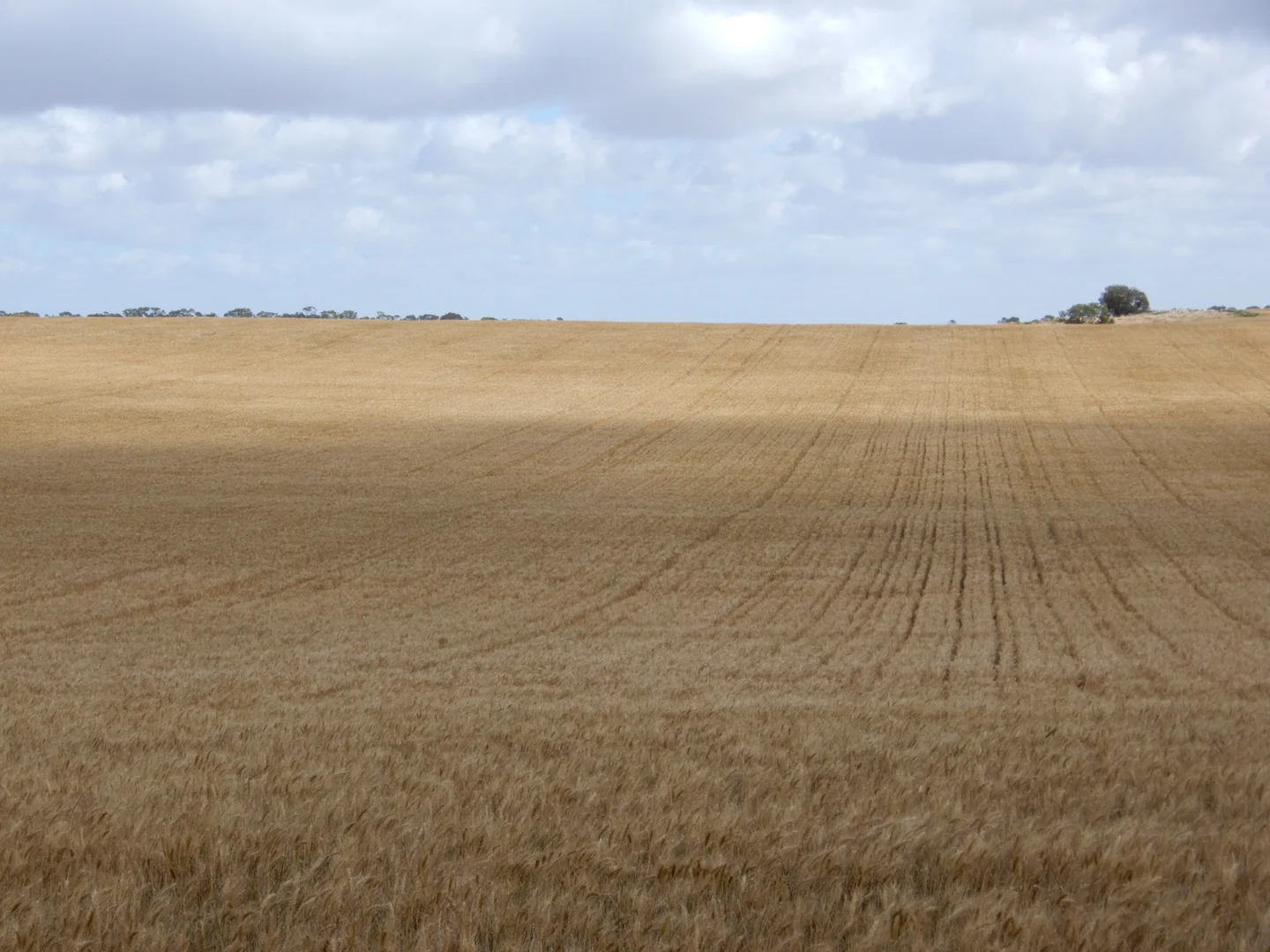 Image 18