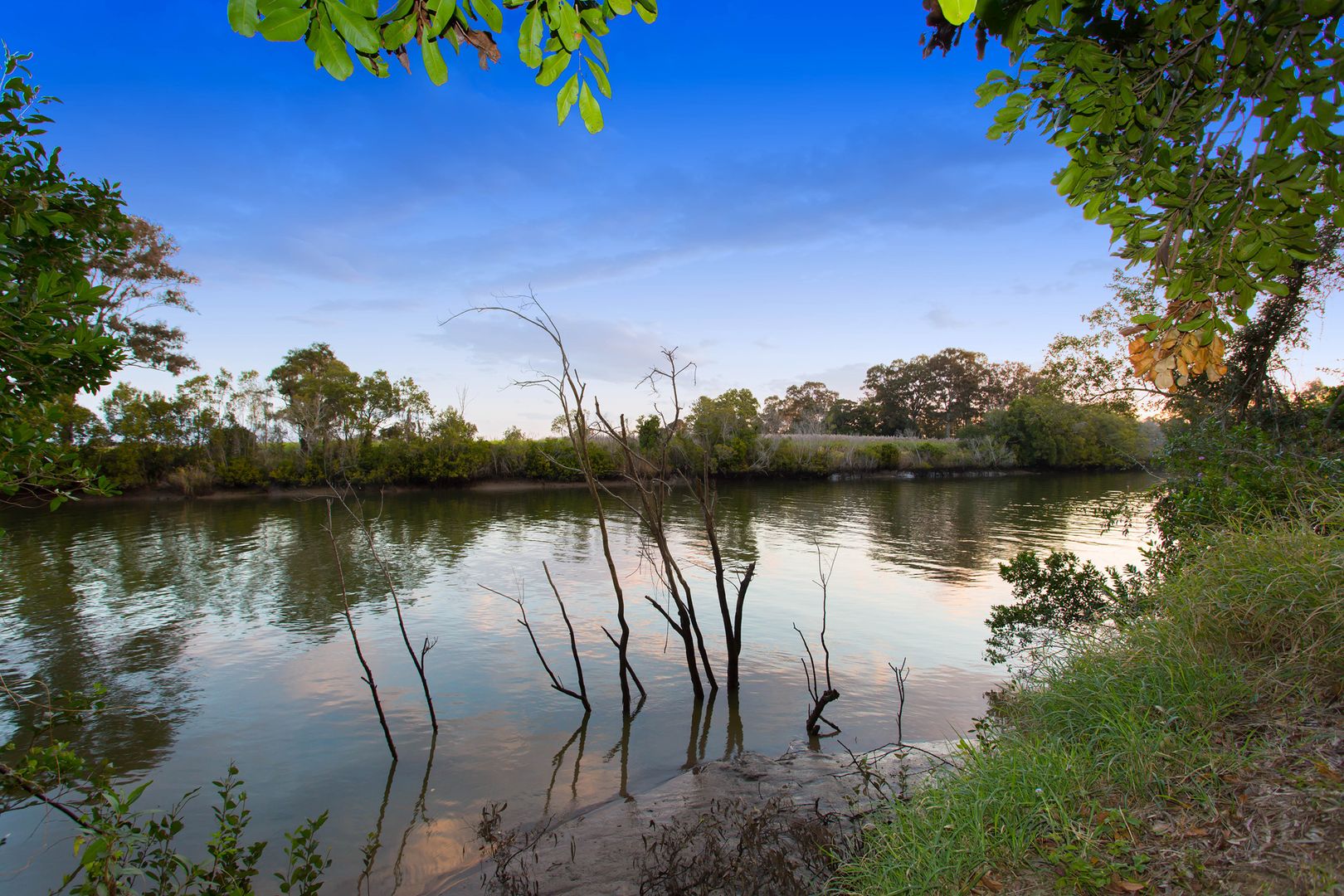 12 RIVIERA COURT, Cornubia QLD 4130, Image 2