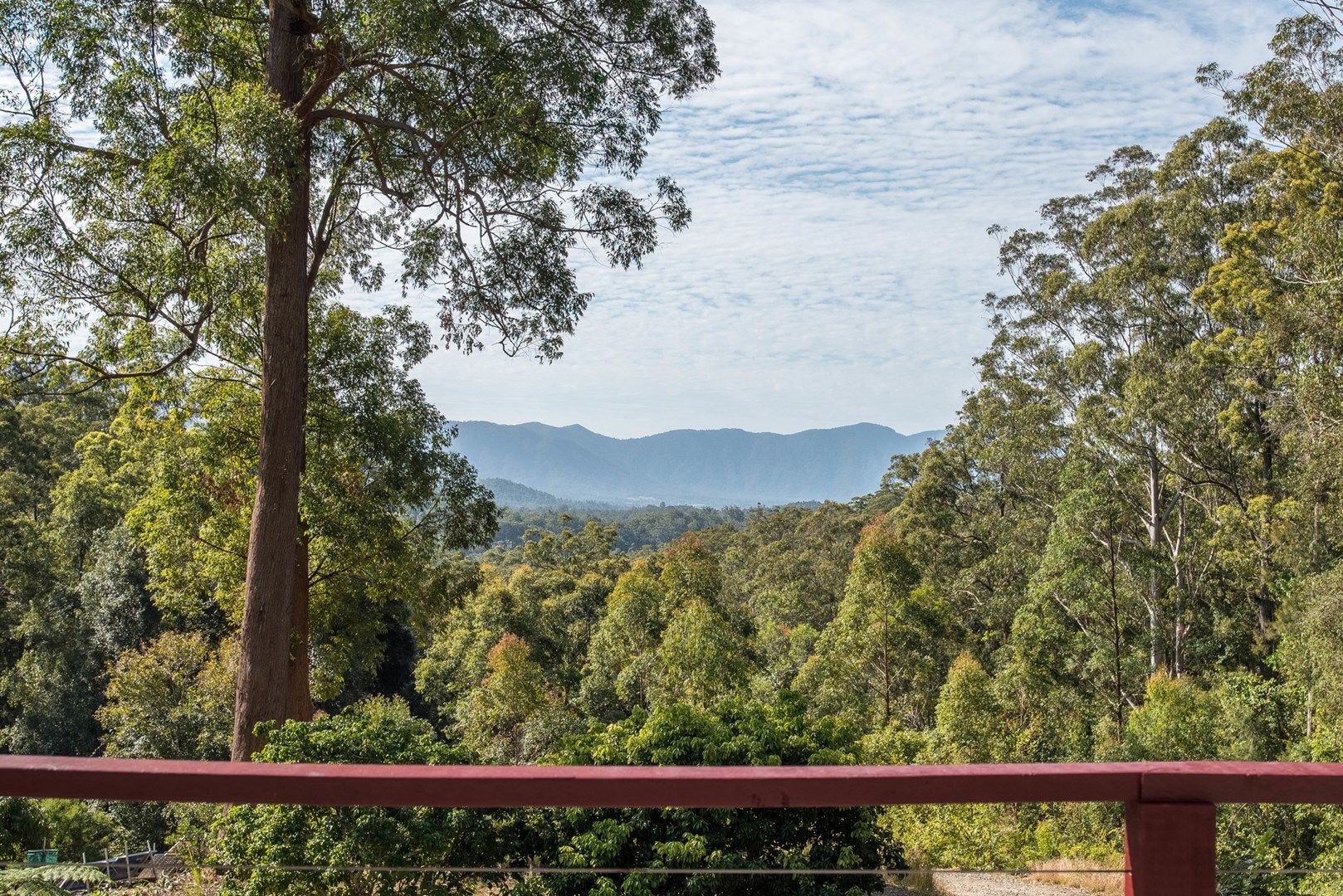 315 Boggy Creek Road, Bellingen NSW 2454, Image 1