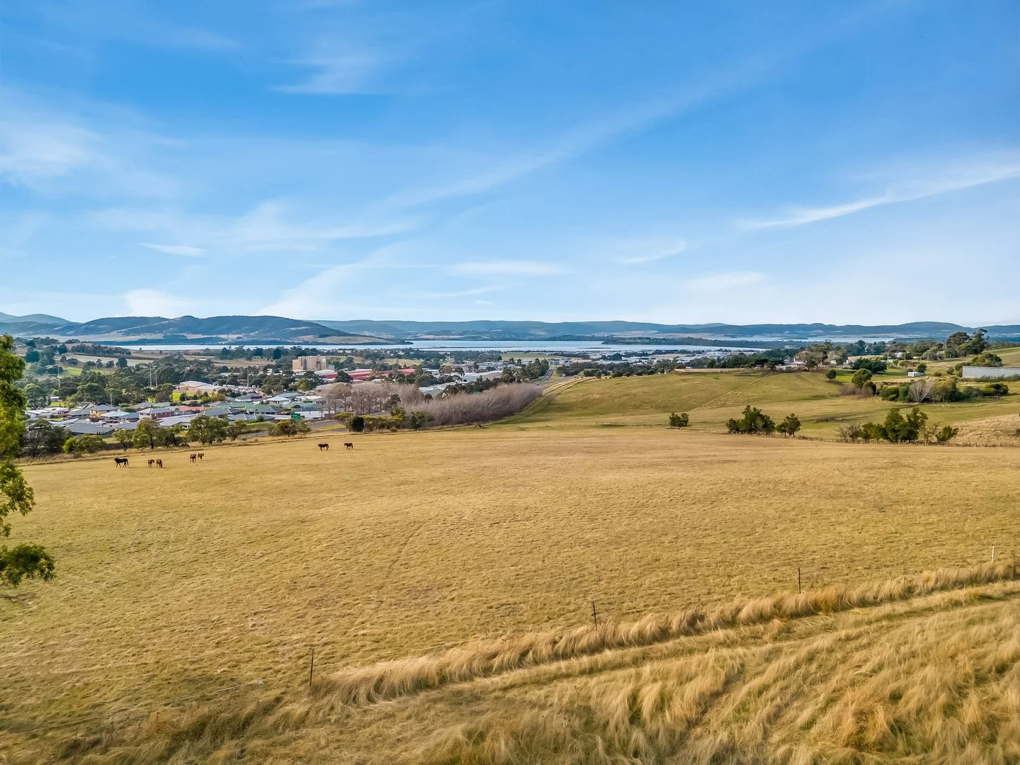 60 Alliance Drive, Cambridge TAS 7170