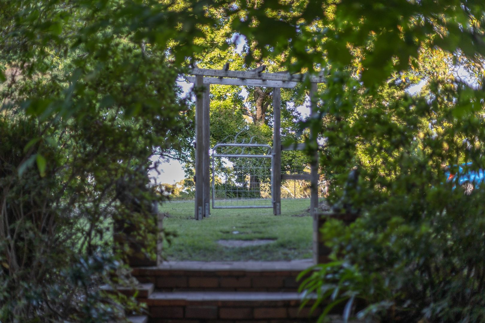 174 Freemans Road, Lower Beechmont QLD 4211 House for Sale 1,100,000