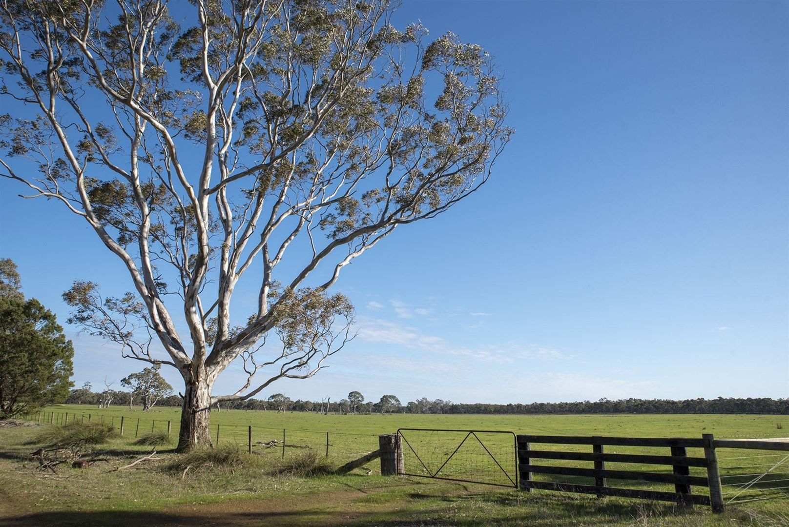 Lot 19 Mc Calmans Road, Corndale VIC 3311, Image 0