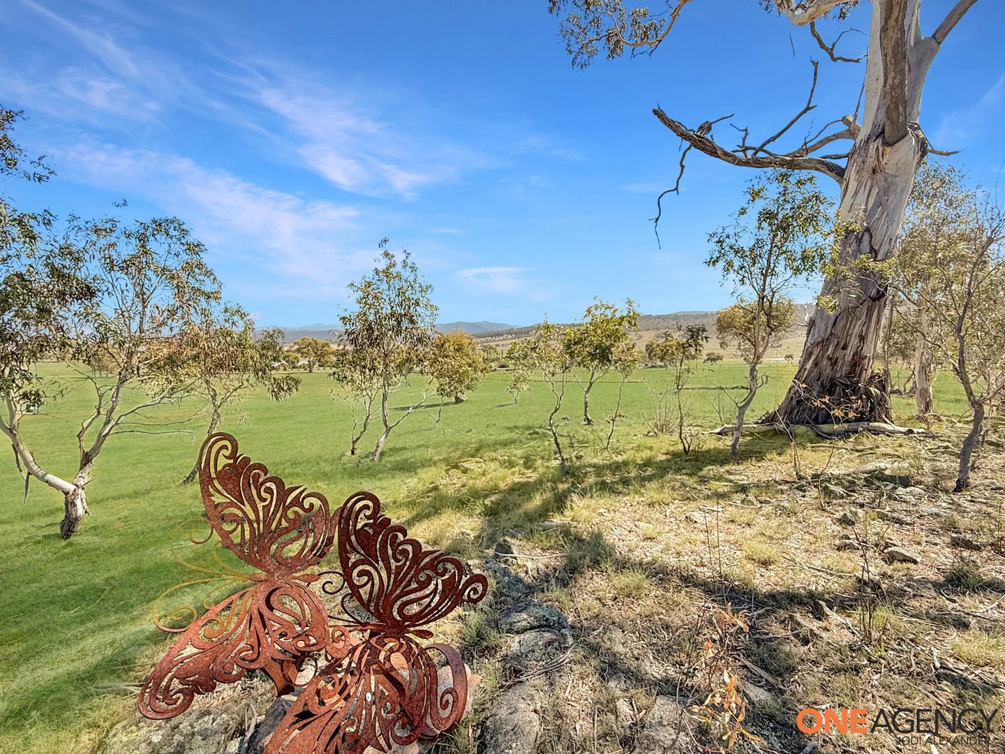 Image 36