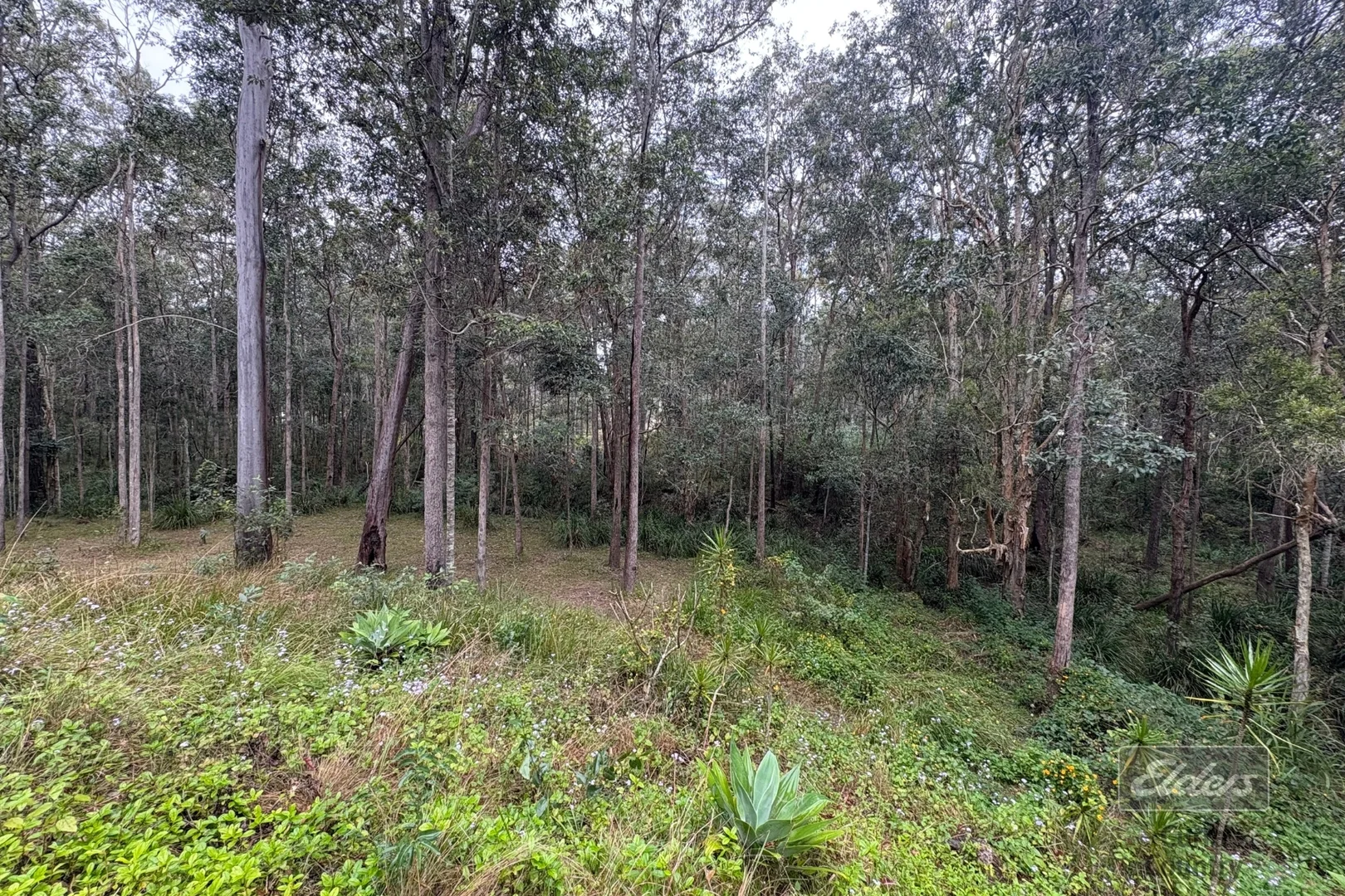 Image 15