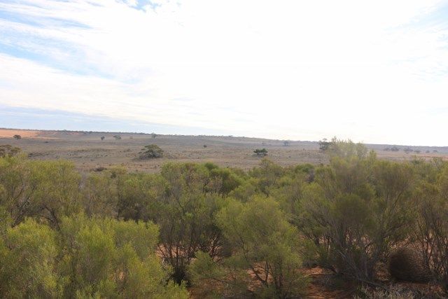 Lot 3 Twigden Road, Taylorville SA 5330