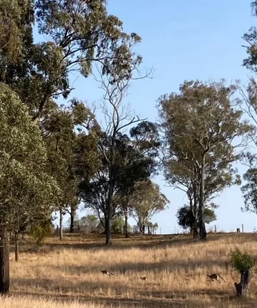 Additional image 66 of 103 Rural Road, Nanango QLD 4615