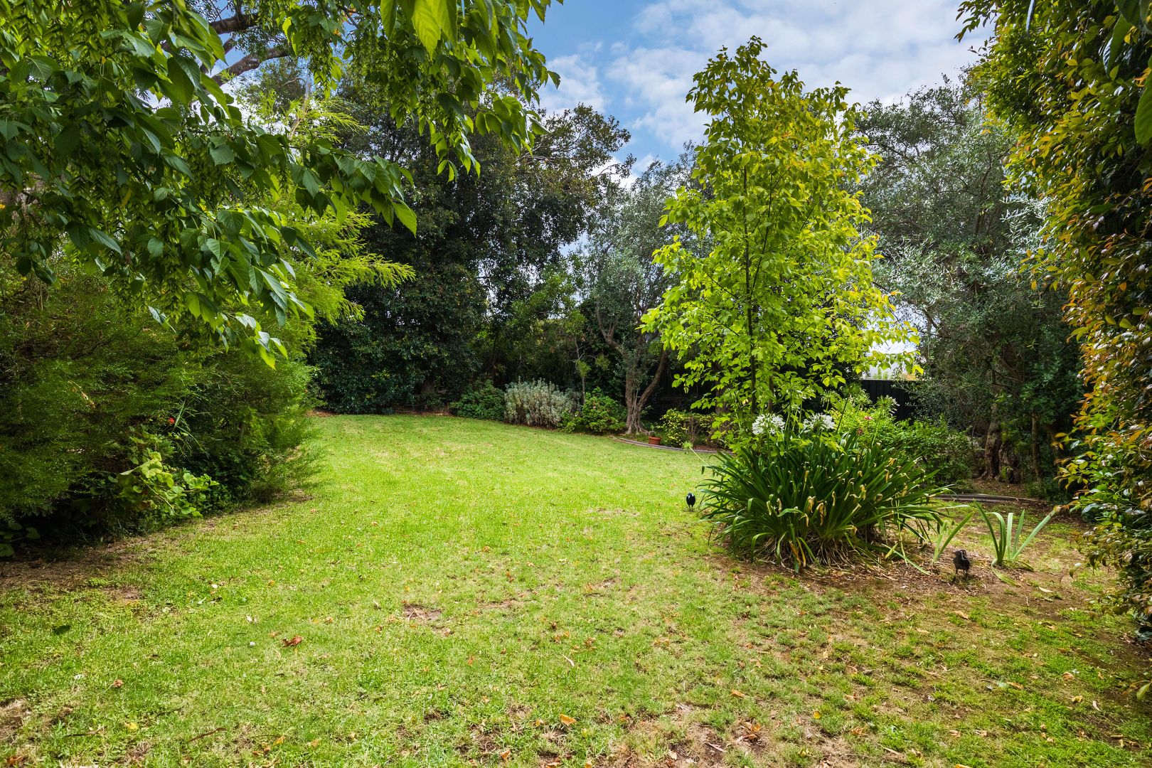 3 Buchan Avenue, Beaumont SA 5066, Image 1